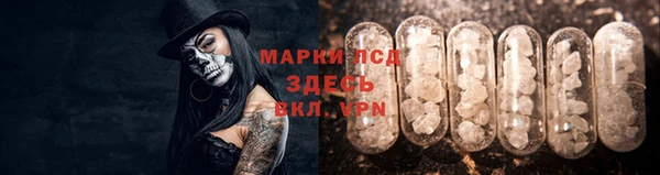 СК Бородино