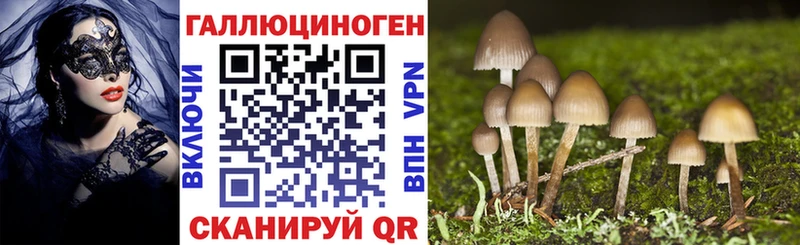 где найти наркотики  Гудермес  Галлюциногенные грибы ЛСД 